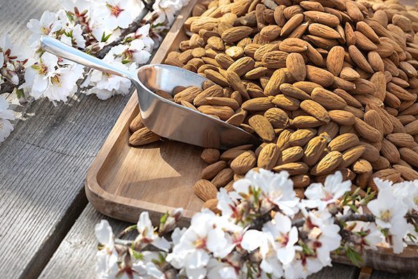 Les amandes de provence