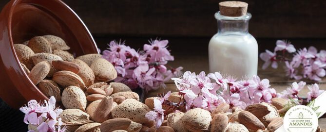 Secrets de Beauté des Amandes de Provence les bienfaits de nos amandes