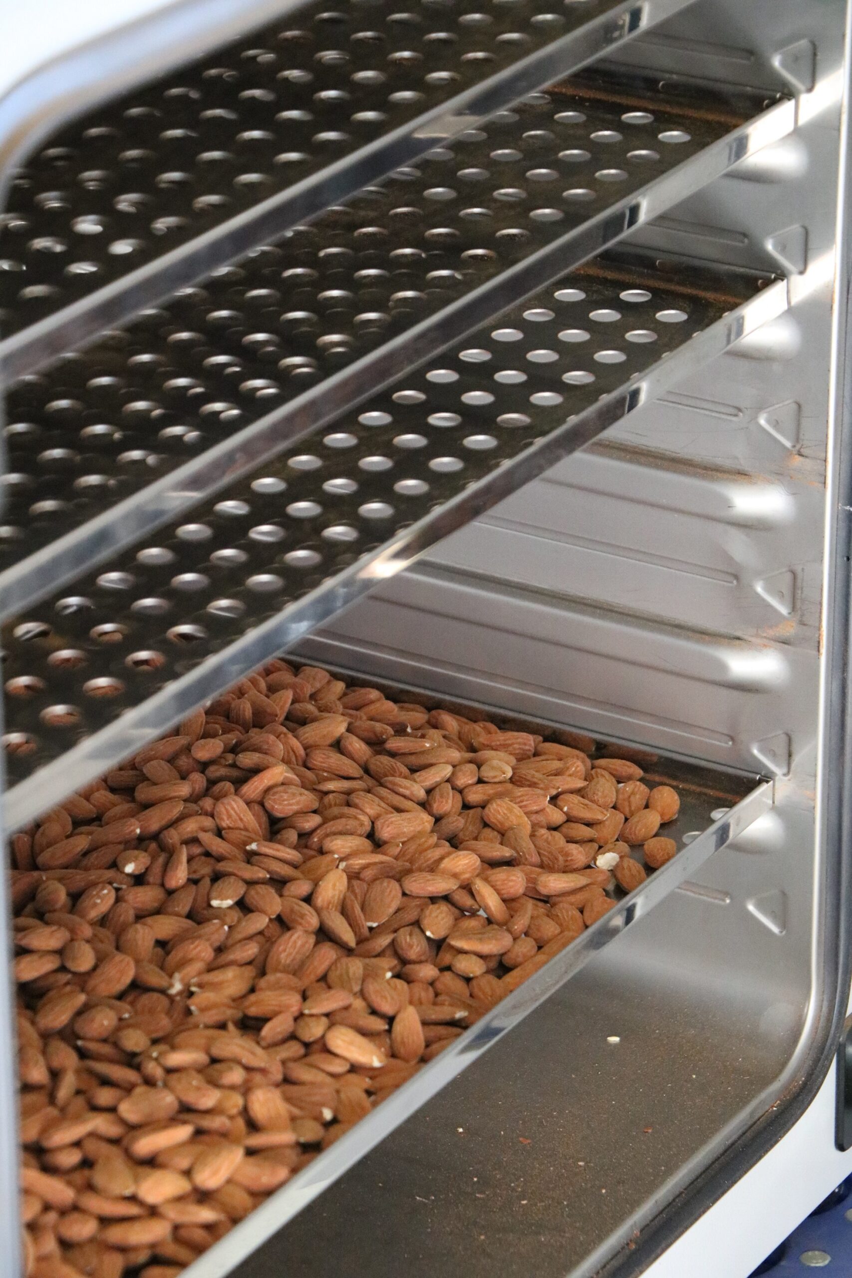 IMG_3289 Le chant des Amandes - Notre Atelier Le chant des Amandes